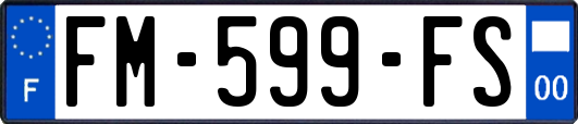 FM-599-FS