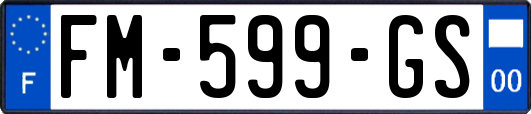 FM-599-GS
