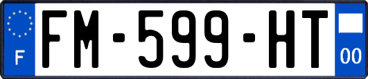 FM-599-HT