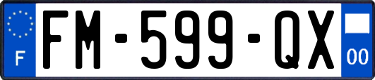 FM-599-QX