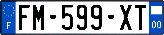 FM-599-XT