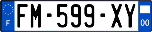 FM-599-XY