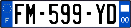 FM-599-YD