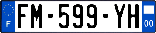 FM-599-YH