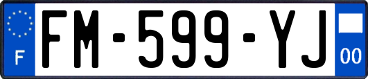 FM-599-YJ