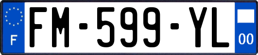 FM-599-YL