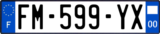 FM-599-YX