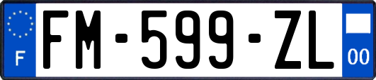 FM-599-ZL