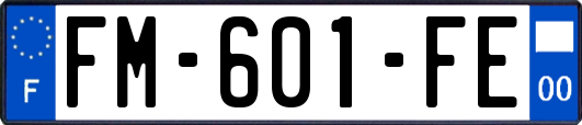 FM-601-FE