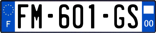 FM-601-GS