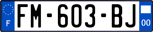 FM-603-BJ