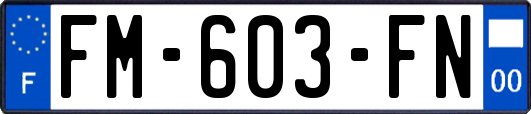 FM-603-FN