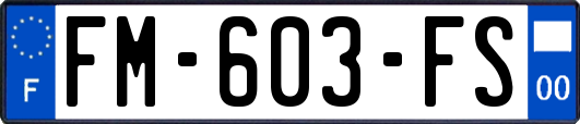 FM-603-FS