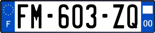 FM-603-ZQ