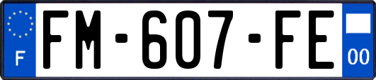 FM-607-FE
