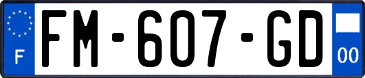 FM-607-GD