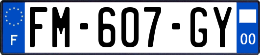 FM-607-GY
