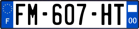 FM-607-HT