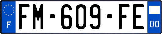 FM-609-FE
