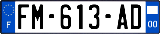 FM-613-AD