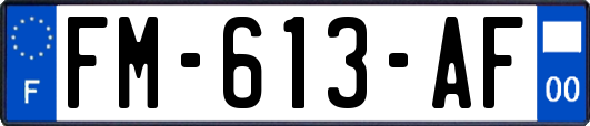 FM-613-AF