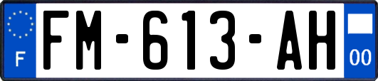 FM-613-AH