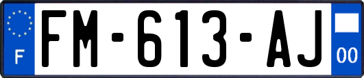 FM-613-AJ