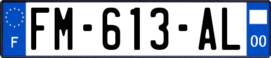 FM-613-AL