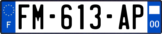 FM-613-AP