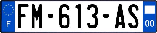 FM-613-AS