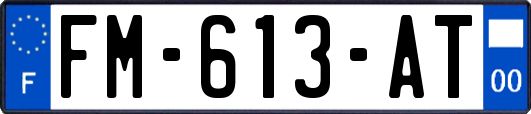FM-613-AT