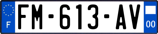 FM-613-AV
