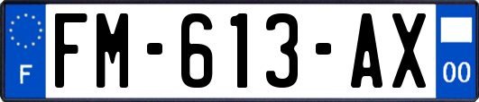FM-613-AX