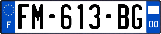 FM-613-BG