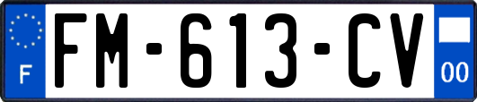 FM-613-CV