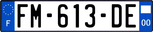 FM-613-DE