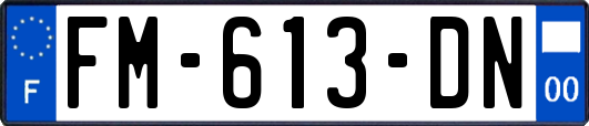 FM-613-DN