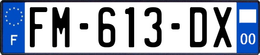 FM-613-DX