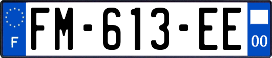 FM-613-EE