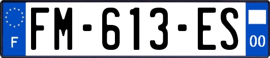FM-613-ES