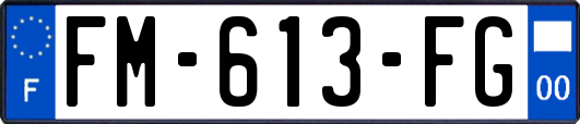 FM-613-FG