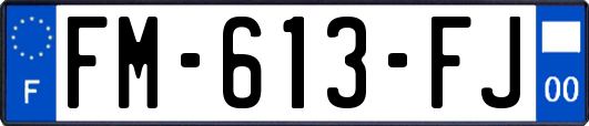 FM-613-FJ