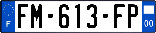 FM-613-FP