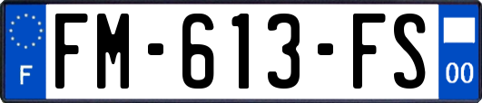 FM-613-FS