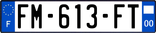 FM-613-FT