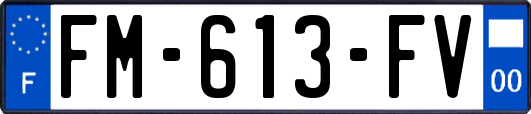 FM-613-FV