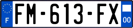 FM-613-FX