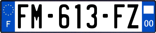 FM-613-FZ