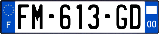 FM-613-GD
