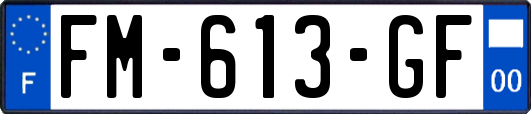 FM-613-GF